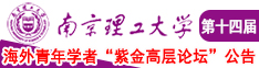 中国老年妇女操逼大全南京理工大学第十四届海外青年学者紫金论坛诚邀海内外英才！